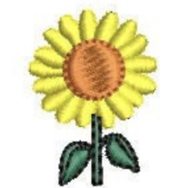 IMG_0617.JPEG